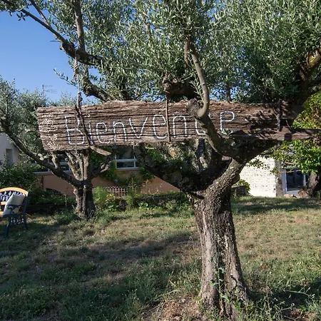 Appartement Les Oliviers - Le Chant Des Tongs *